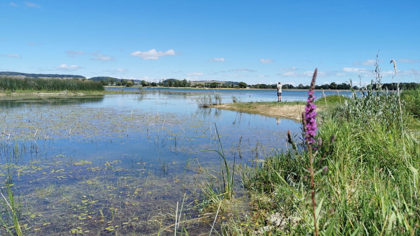 Sur l’eau