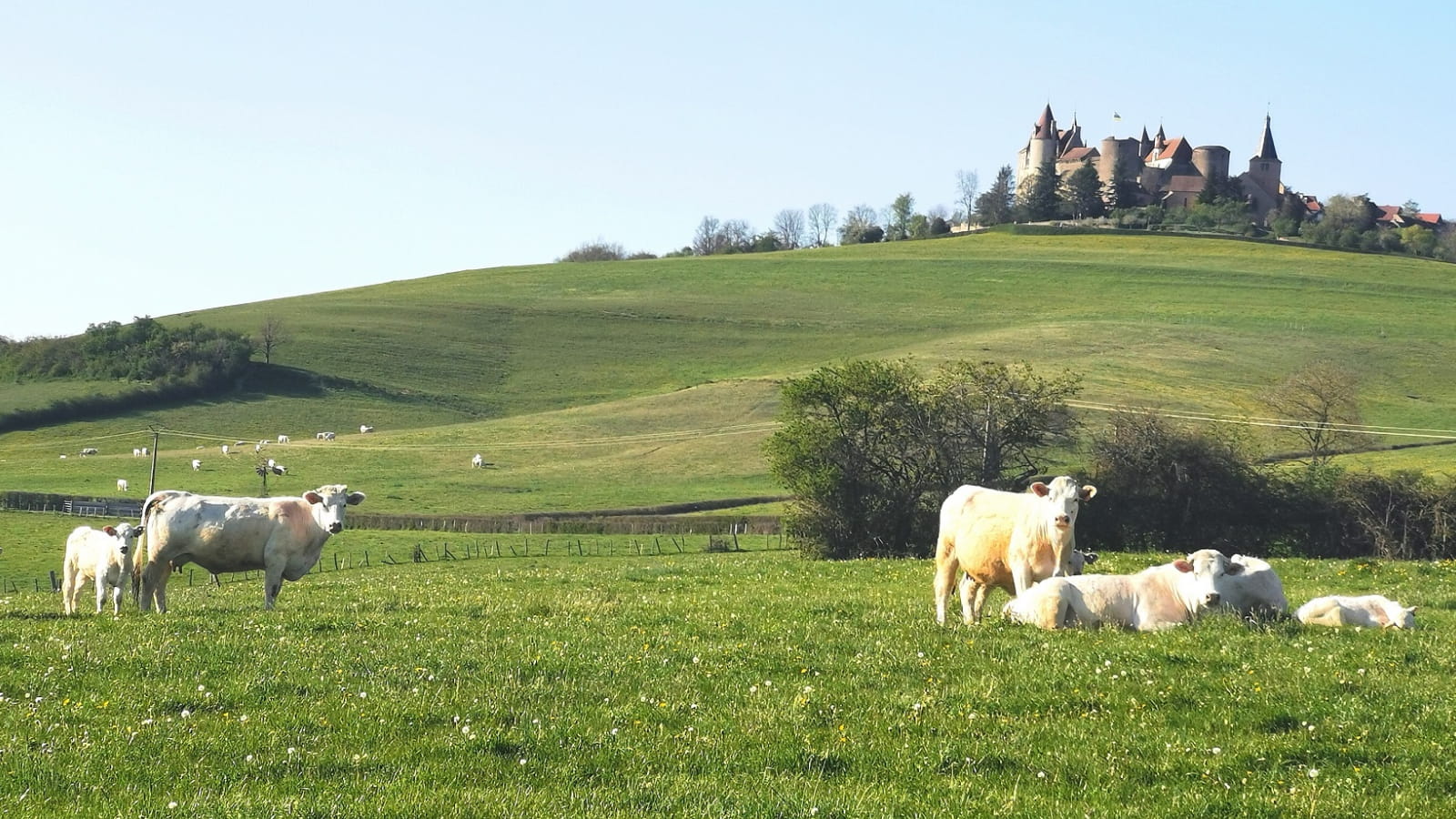 100 % Local, 100% Pouilly/Bligny