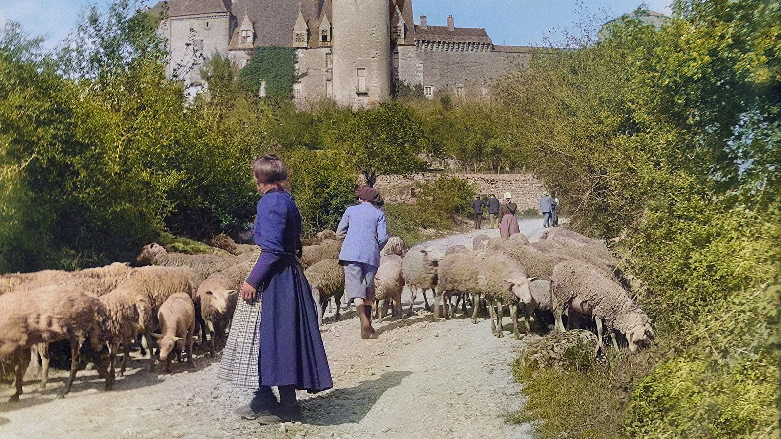 Ciné-débat au château de Châteauneuf : les Visiteurs