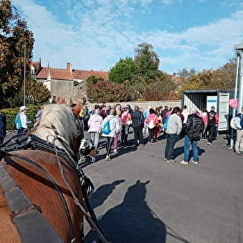 Les calèches de la Bohême - POUILLY-EN-AUXOIS