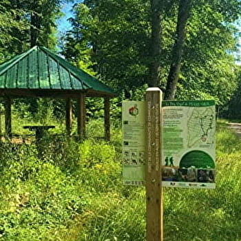 Forêt aménagée - Le Bois Royal de Pierre Saux - POUILLY-EN-AUXOIS