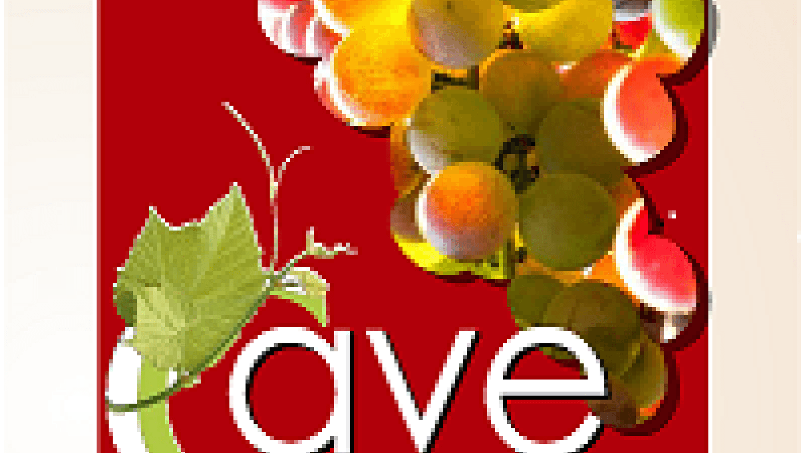 La cave de Pouilly