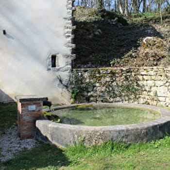 Fontaine de Chenéchoux - CHAUDENAY-LE-CHATEAU