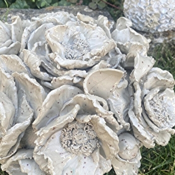 Fleurs et Petits Pois - MONTCEAU-ET-ECHARNANT