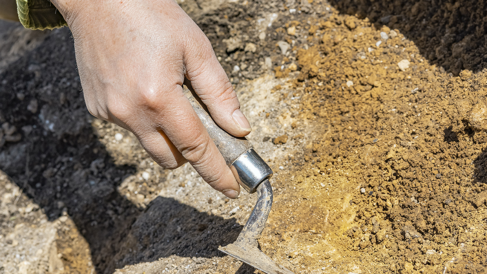 Attention, fouilles en cours ! Les Journées européennes de l'archéologie