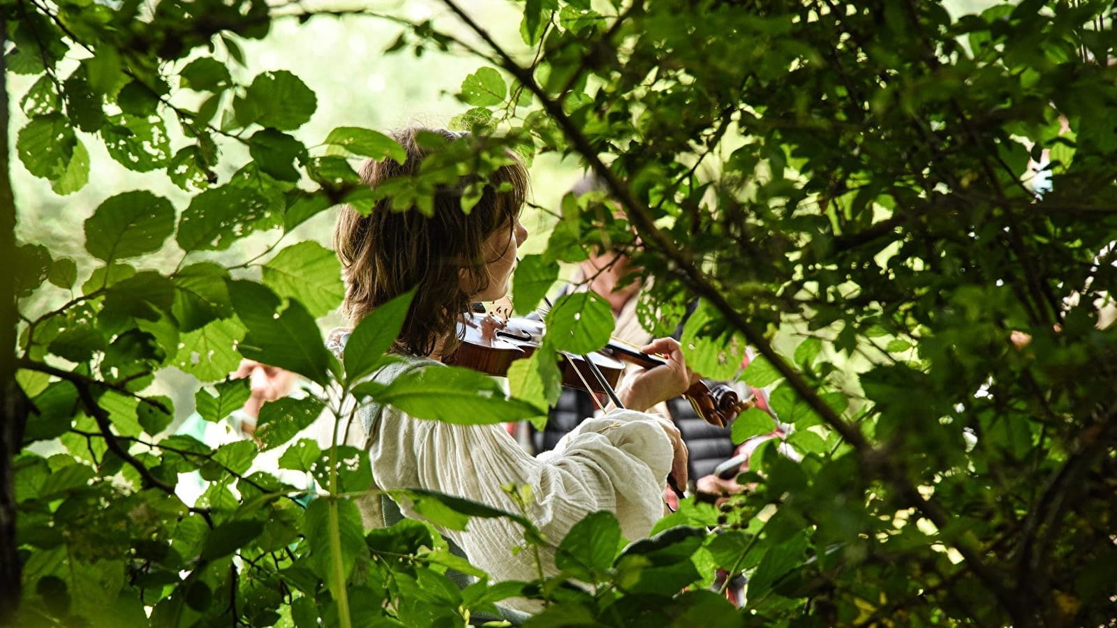 Concert Musique baroque
Le carnaval des oiseaux