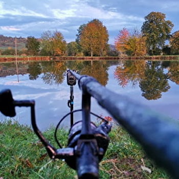 Etang de pêche - Vandenesse-en-Auxois - VANDENESSE-EN-AUXOIS