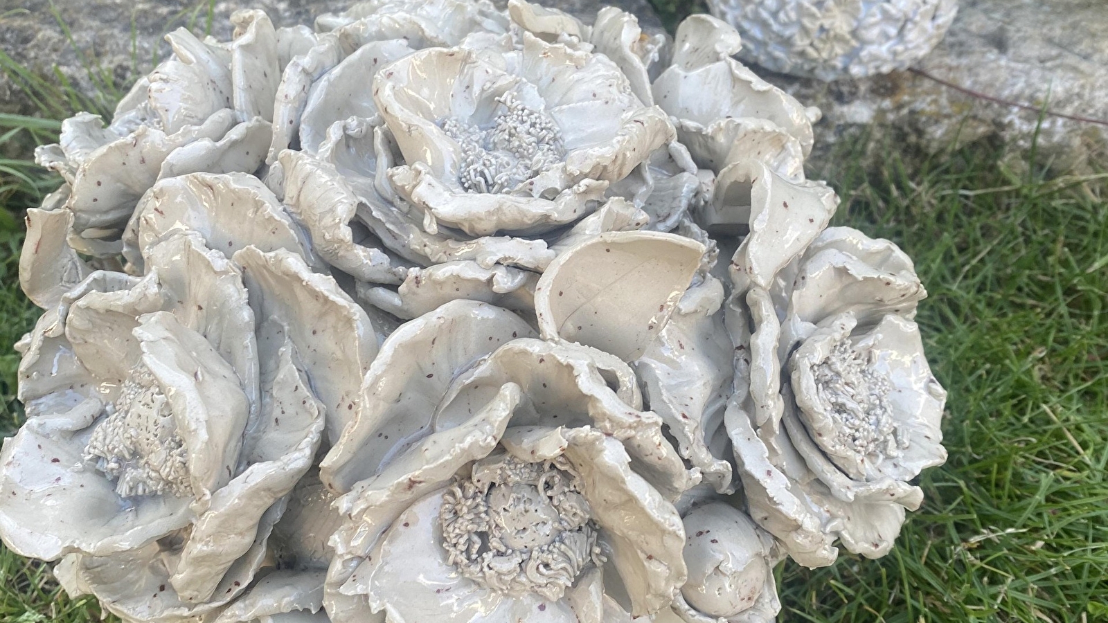 Fleurs et Petits Pois