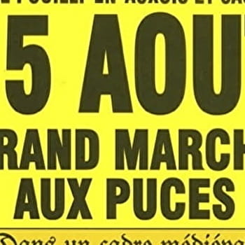 Vide greniers puces artisanat - MONT-SAINT-JEAN
