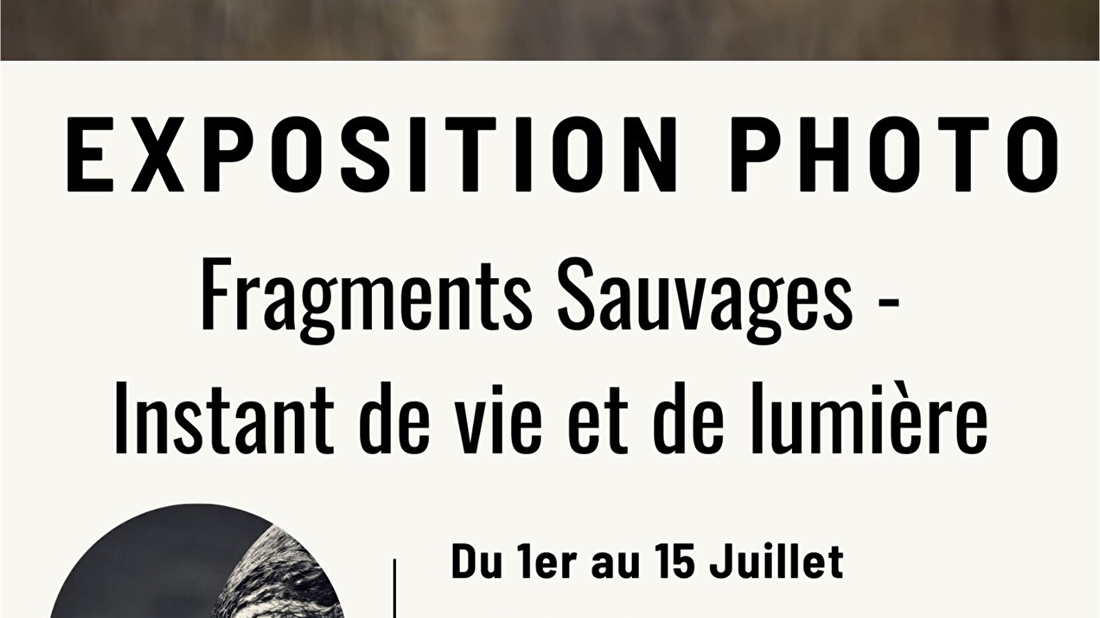 Exposition 'Fragments Sauvages – Instants de Vie et de Lumière. '- Bligny sur Ouche