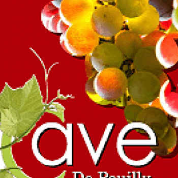 La cave de Pouilly - POUILLY-EN-AUXOIS