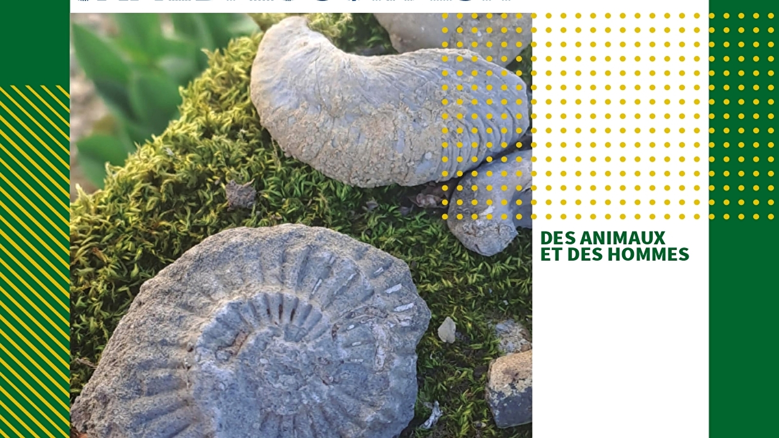 Visite guidée- Des Animaux et des Hommes- Veilly