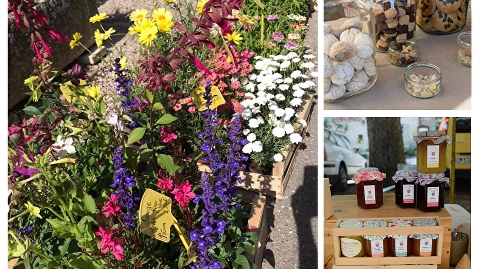 Marché d'Automne à Châteauneuf