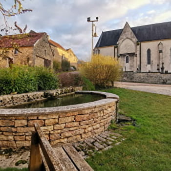 Fontaine du village - CHAUDENAY-LA-VILLE