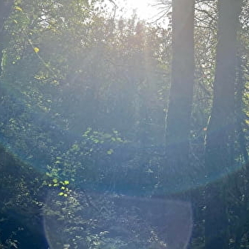 Ella Bien être au féminin - BLIGNY-SUR-OUCHE